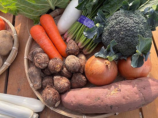 【1/5発売】わけあり野菜12品セット（北海道と九州の方）※送料込み※100サイズ満タン