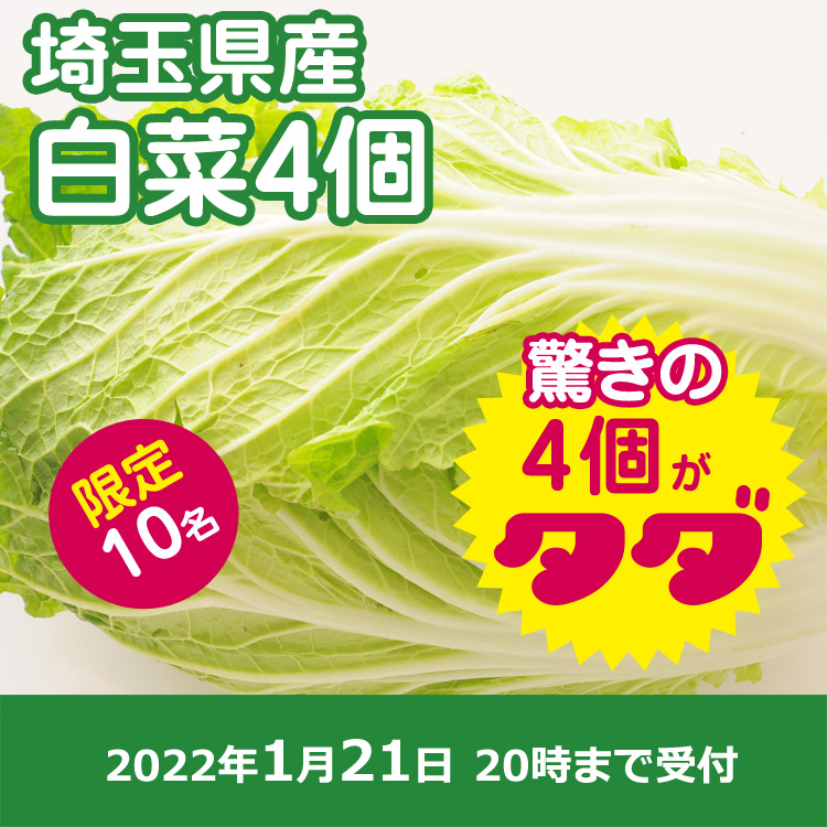 【プレゼント】白菜4個