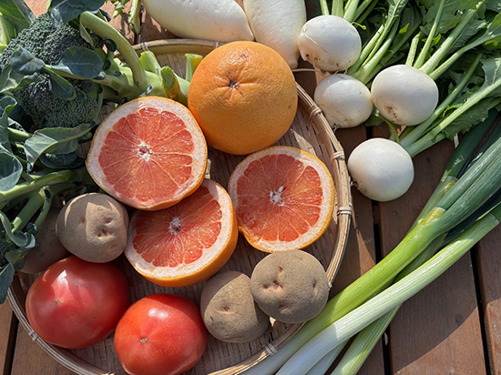 【グレープフルーツ付き】わけあり野菜11種（北海道と九州の方）※送料込み※100サイズ満タン