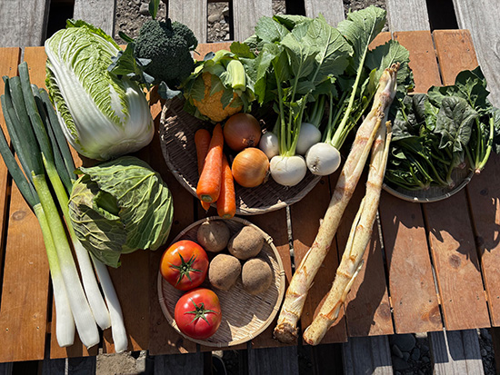 【特売1/17】わけあり野菜12種（本州と四国の方）※送料込み※100サイズ満タン