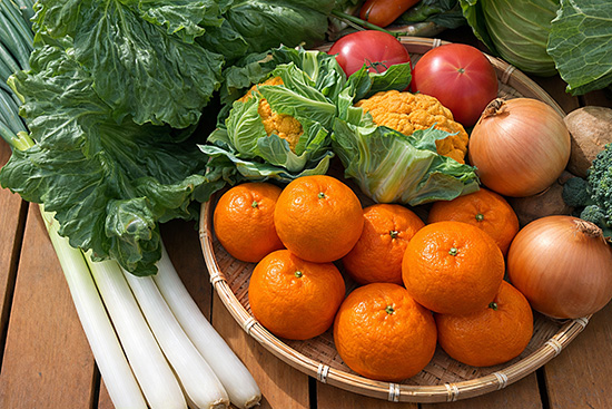 【ポンカン1キロ付き】訳アリ野菜11種（北海道と九州の方）※送料込み※