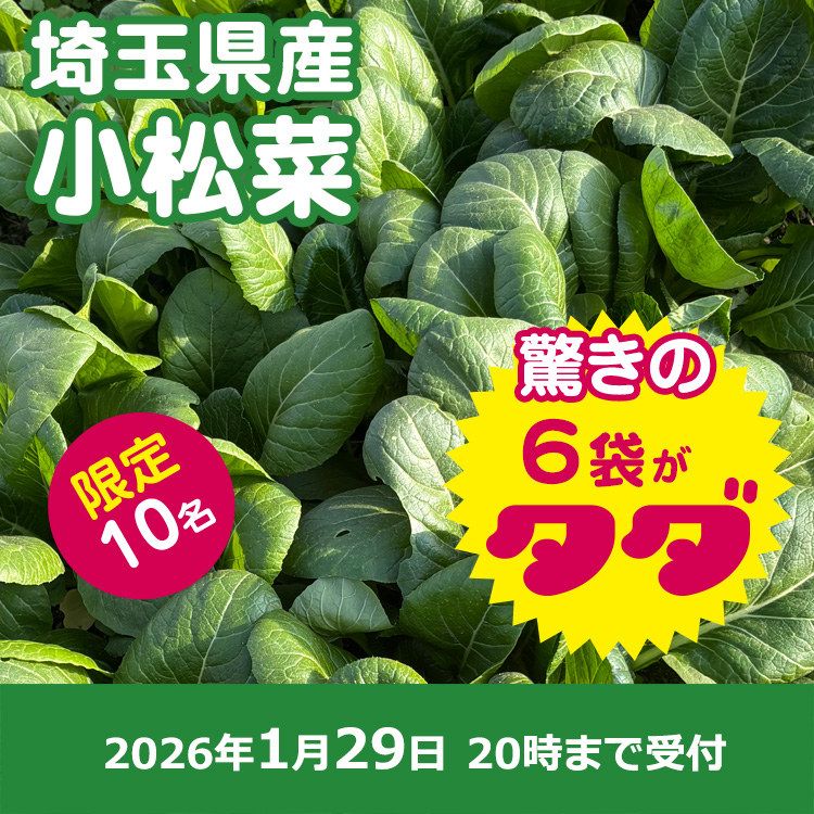【プレゼント】小松菜6袋