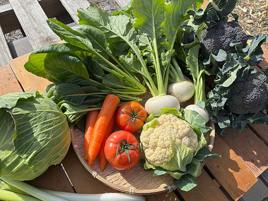 【特売1/25】わけあり野菜12種（北海道と九州の方）※送料込み※100サイズ満タン