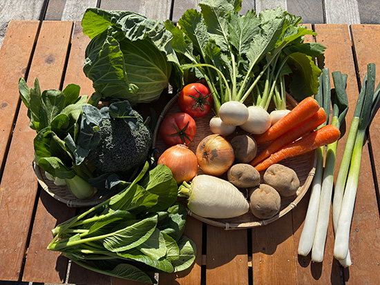 【1～2人暮らし用】わけあり野菜セット10種（北海道と九州の方）※送料込み※80サイズ満タン