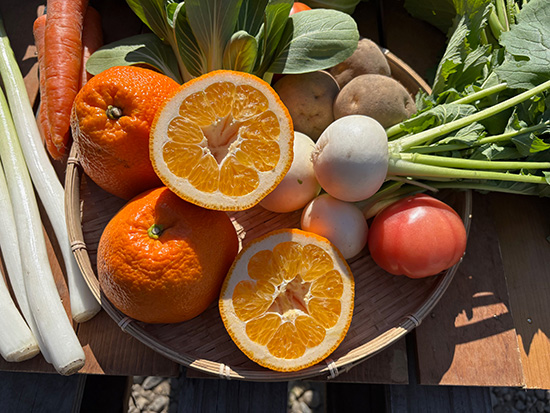 【伊予柑付き】野菜セット11種（本州と四国の方）※送料込み※100サイズ満タン