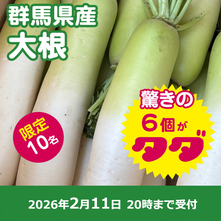 【プレゼント】大根6本