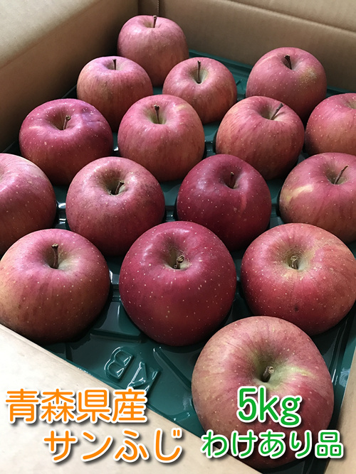 【限定わけあり品】青森県産りんご「サンふじ」色薄・キズ・変形・つる割5kg