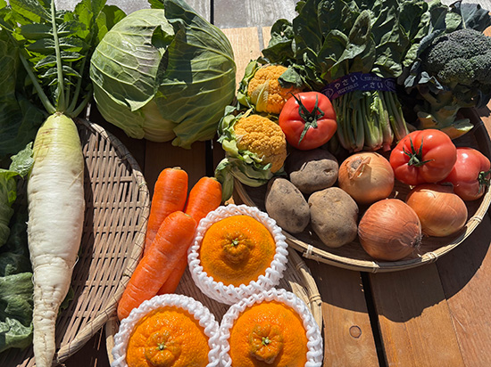 【高級デコポン付き】野菜セット11種（北海道と九州の方）※送料込み※100サイズ満タン