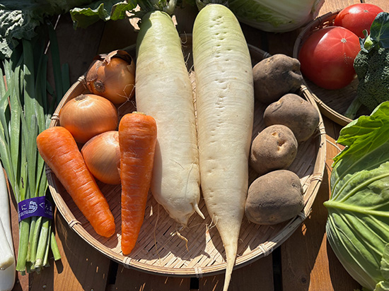 【特売】大根2本付き野菜セット12種（本州と四国の方）※送料込み※100サイズ満タン