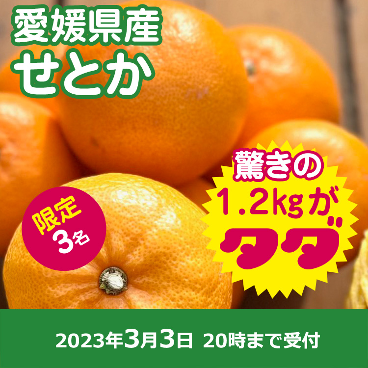 【プレゼント】最高級柑橘せとか