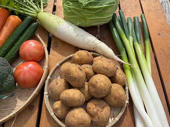 【新じゃが1.2キロ付き】！訳アリ野菜11種（北海道と九州の方）※送料込み※