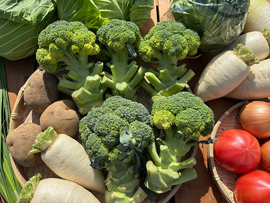 【タイムセール】ブロ・トマト多め野菜10品セット（本州と四国の方）※送料込み※100サイズ満タン