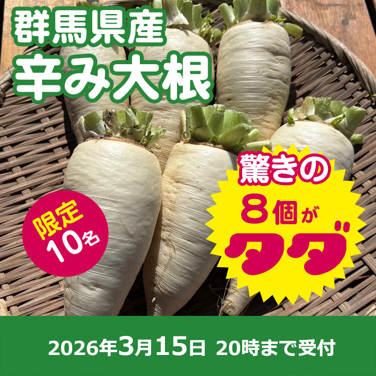【プレゼント】辛み大根8個