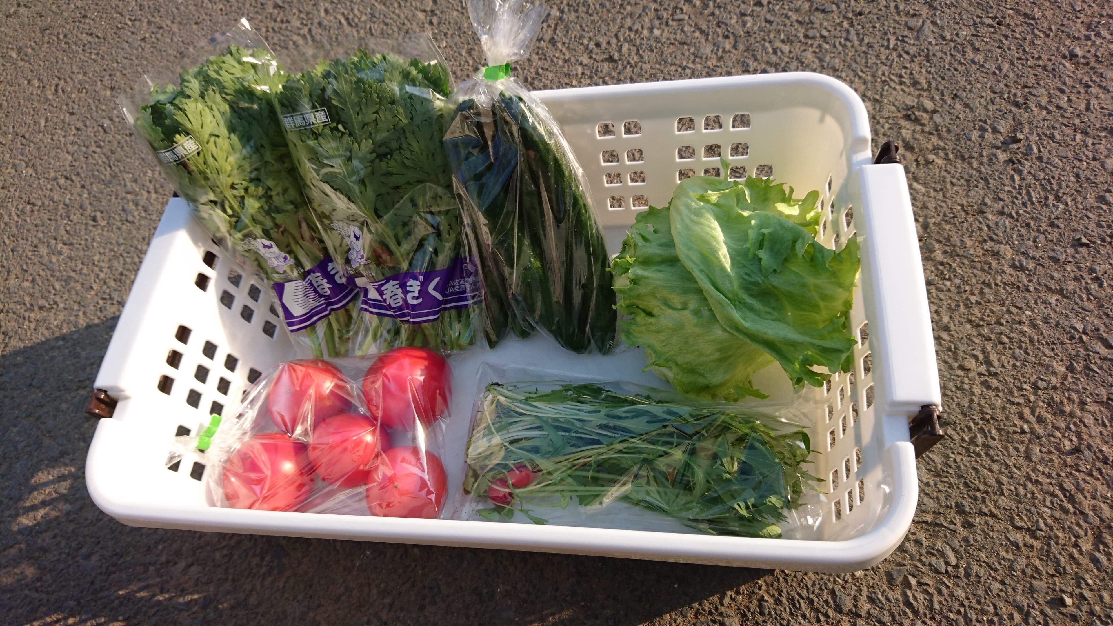 須賀農園お野菜お試しセット(関西 ・中国・九州・四国の方)