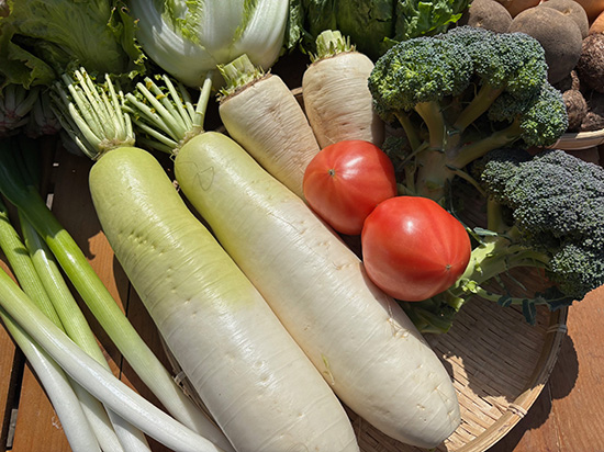 【特売】大根2本付き野菜セット12種（本州と四国の方）※送料込み※100サイズ満タン