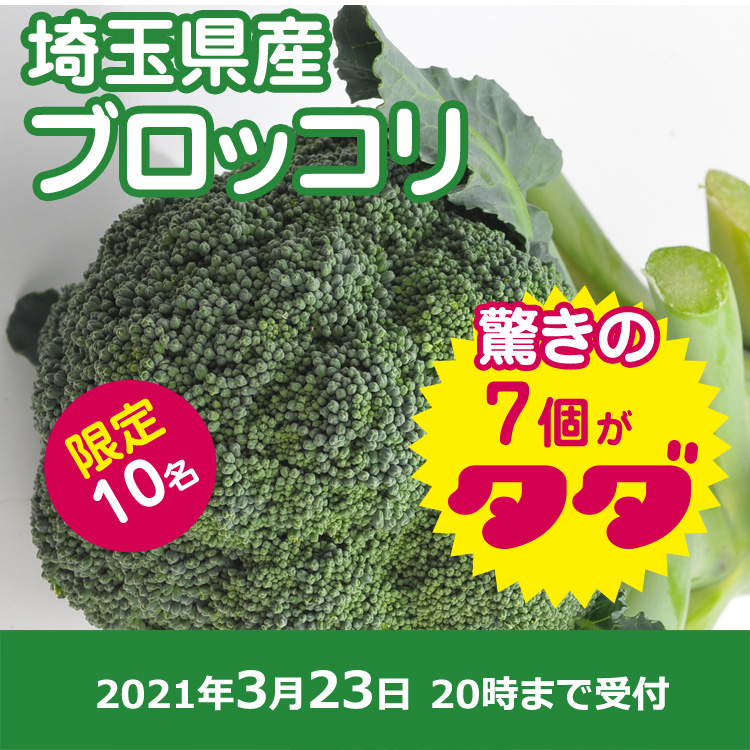 【プレゼント】春ブロッコリ