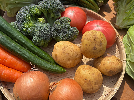 【3/22特売】わけあり野菜セット12種（北海道と九州の方）※送料込み※100サイズ満タン
