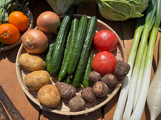 【きゅうり7本付き】訳アリ野菜11種（本州と四国の方）※送料込み※