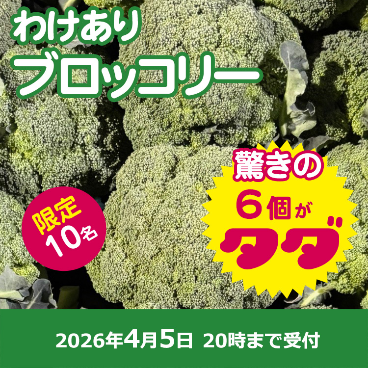 【プレゼント】訳ありブロッコリー