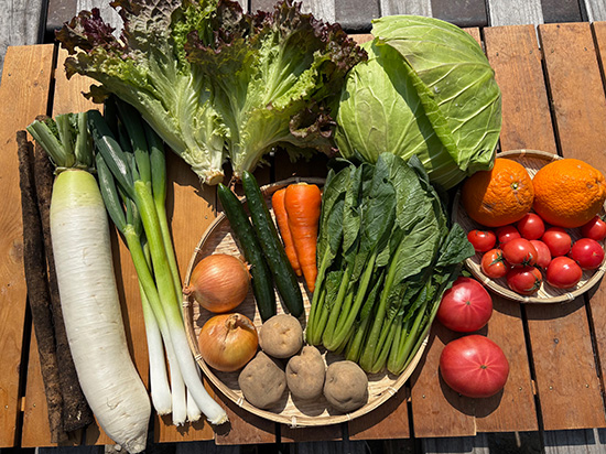 【3/29特売】わけあり野菜セット12種（本州と四国の方）※送料込み※100サイズ満タン