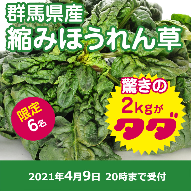 【プレゼント】チヂミほうれん草