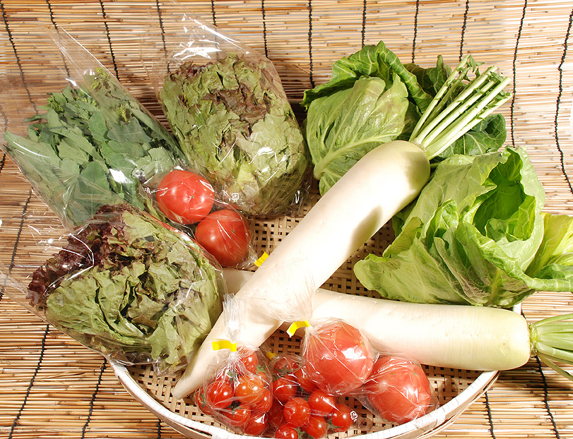 新鮮野菜13品セット※セット内容変更可能です※(中国・四国・九州・北海道地方配送の方)