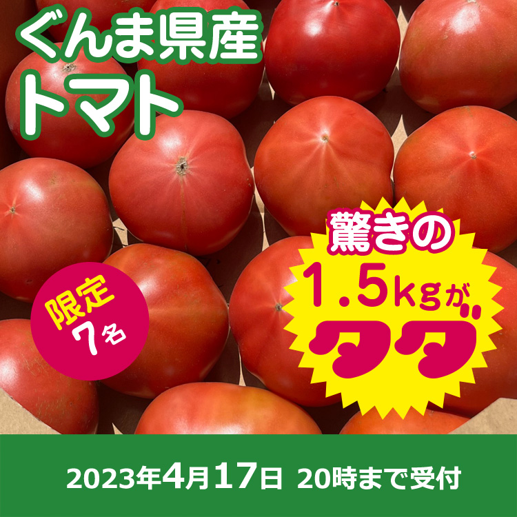 【プレゼント】群馬県産トマト