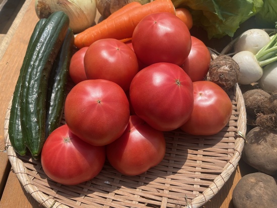 【美味しいトマト1.5キロ付き】訳アリ野菜11種（北海道と九州の方）※送料込み※
