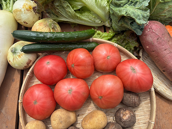 【完熟トマト1.2キロ付】訳アリ野菜11種（北海道と九州の方）※送料込み※