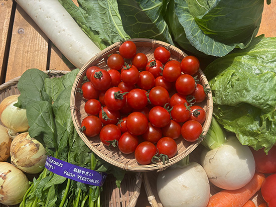 【高糖度ミニトマト付き】訳アリ野菜11種（本州と四国の方）※送料込み※