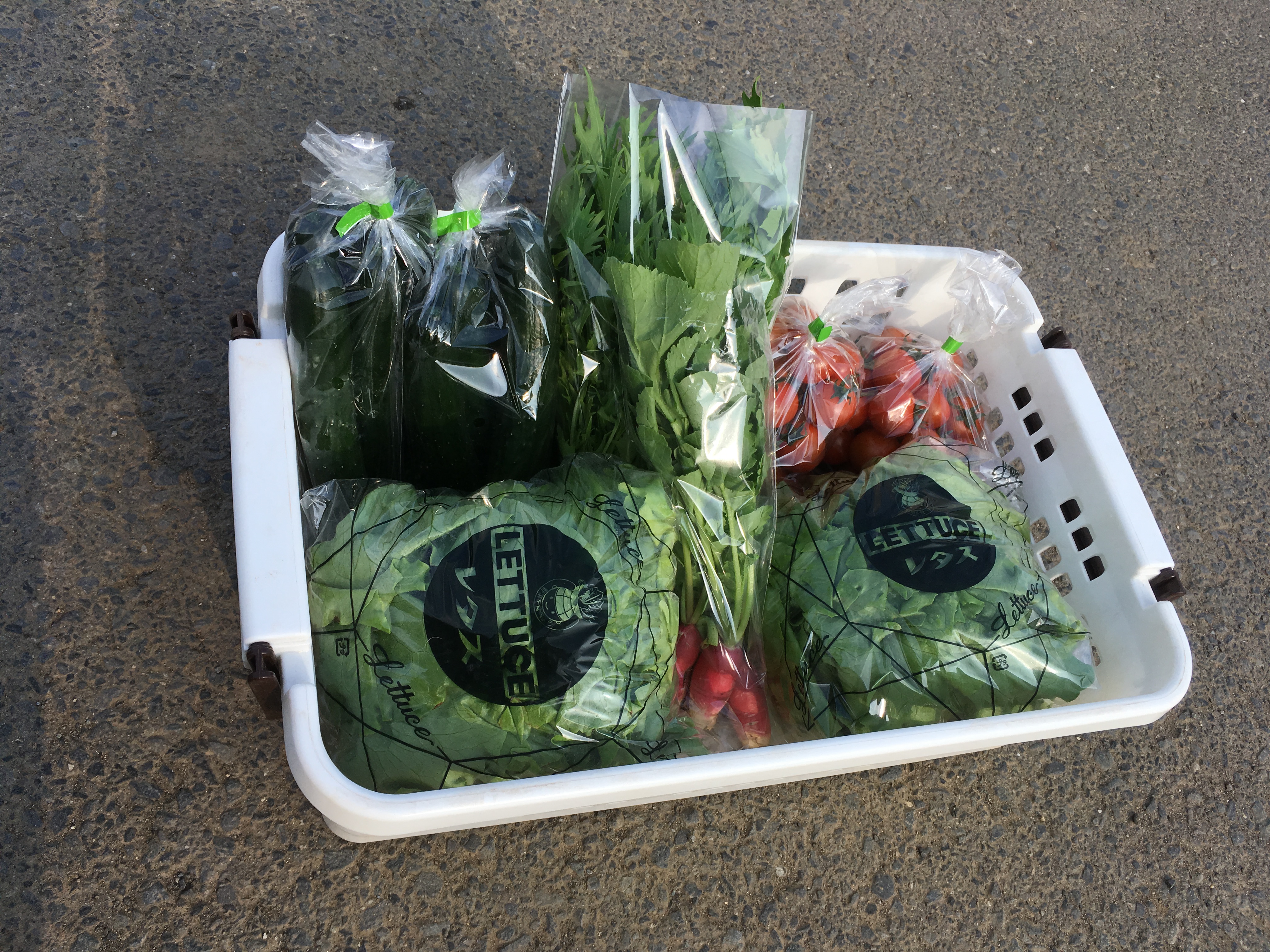 平成最後のお野菜セット 九州・沖縄 限定
