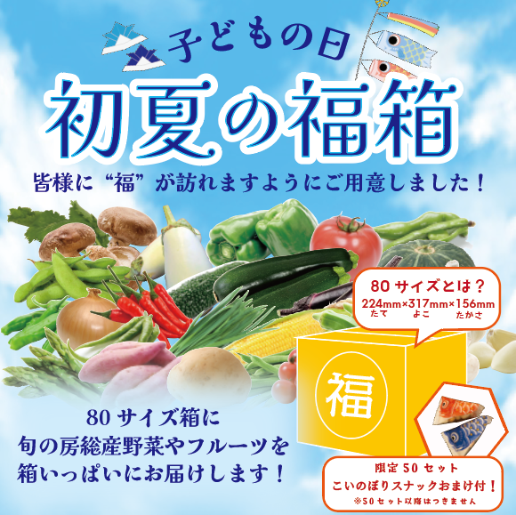 【50セット限定!初夏福箱!子供の日に!旬の房総野菜、房総果物詰め合わせ!冷蔵配送!】産地直送 産直 直売所 道の駅商品をどうぞ