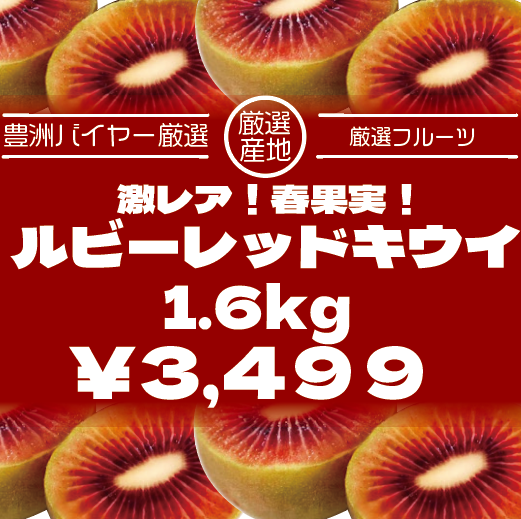 【期間限定!希少!ゼスプリルビーレッドキウイ!1.6㎏】