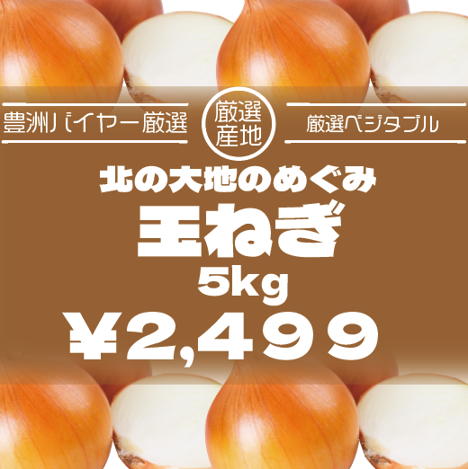 【80サイズ箱いっぱい！北海道産玉ねぎ】豊洲市場発　豊洲仕入れ　市場仕入れだから実現できる