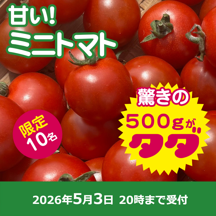 【プレゼント】ミニトマト500ｇ