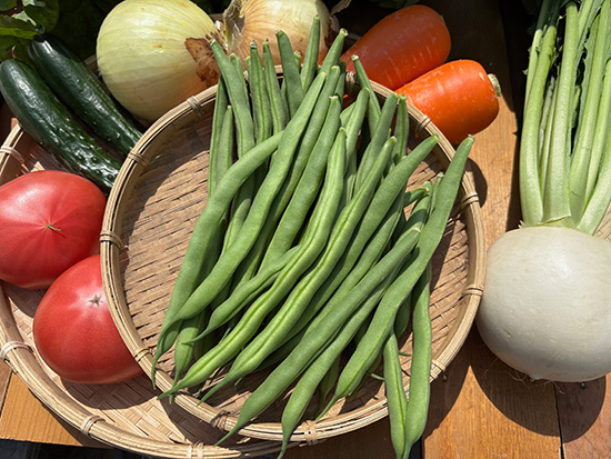 【いんげん200ｇ付き】訳アリ野菜11種（本州と四国の方）※送料込み※