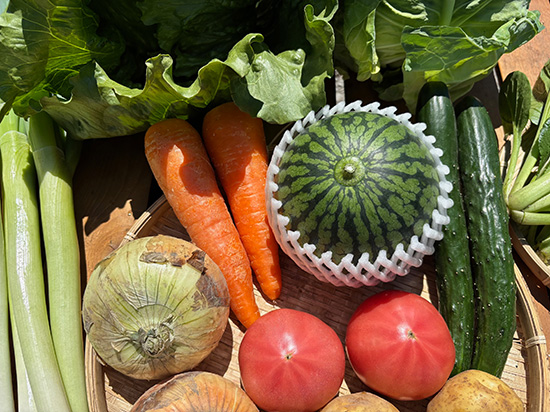 【小玉スイカ付き】訳アリ野菜11種（本州と四国の方）※送料込み※