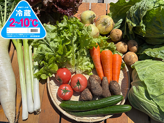 【特売5/9】訳アリ野菜11種(北海道と九州の方)※クール送料込み※