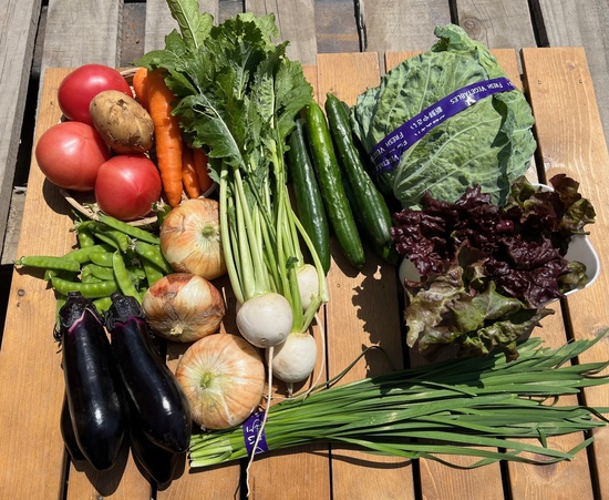 【※クール便※5月11日】訳アリ野菜12種（北海道と九州の方）※送料込み※