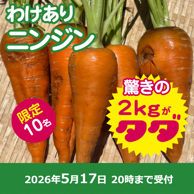 【プレゼント】傷ありニンジン