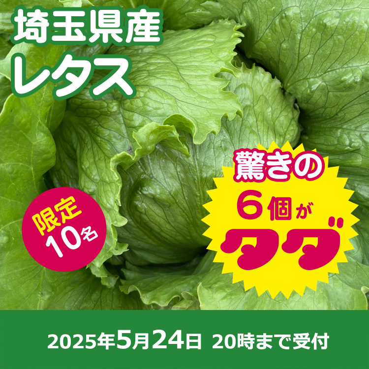 【プレゼント】玉レタス