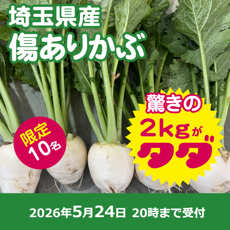 【プレゼント】傷ありカブ