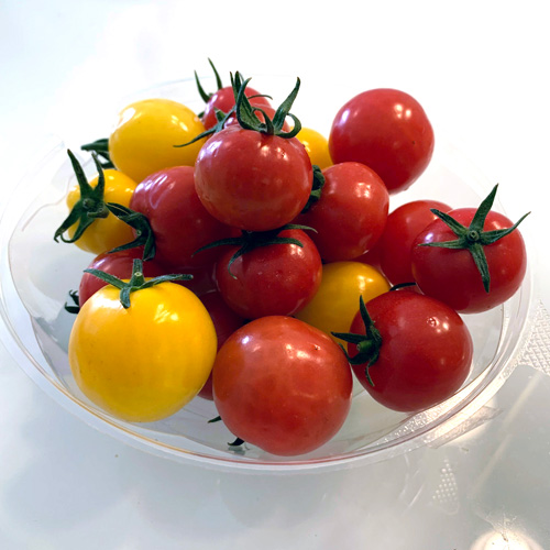 プチっとした独特の食感!平均糖度10度越え(令和3年5月)超完熟フルーツミニトマト「ひめトマ」 4パック 人気No.1