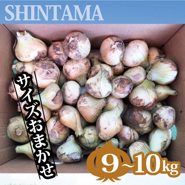 訳あり 新玉ねぎ (9kg~10kg)