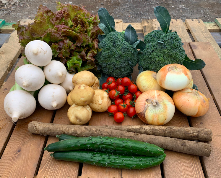 【クール便】野菜7種類 約5キロセット(北海道・九州・中国・四国の方)