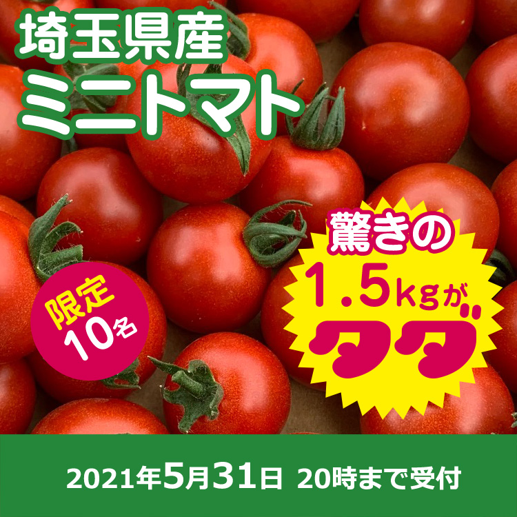 【プレゼント】ミニトマト