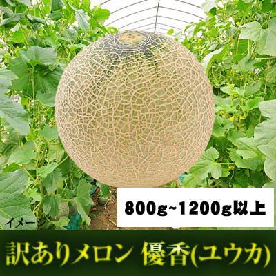 【予約】訳ありメロン3~4個入り 【優香(ユウカ)】 (送料込)※北海道・九州の方※