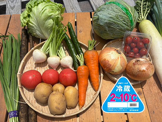 【特売5/27】※クール※訳あり野菜11品セット（北海道と九州の方）※送料込み※