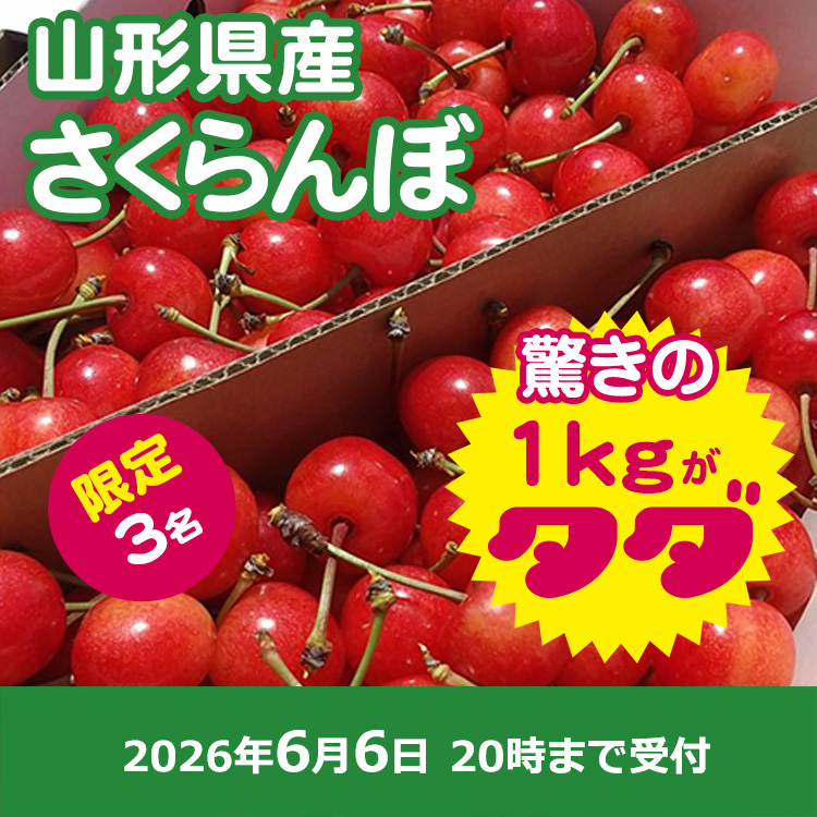 【プレゼント】さくらんぼ畑．高橋様ご提供