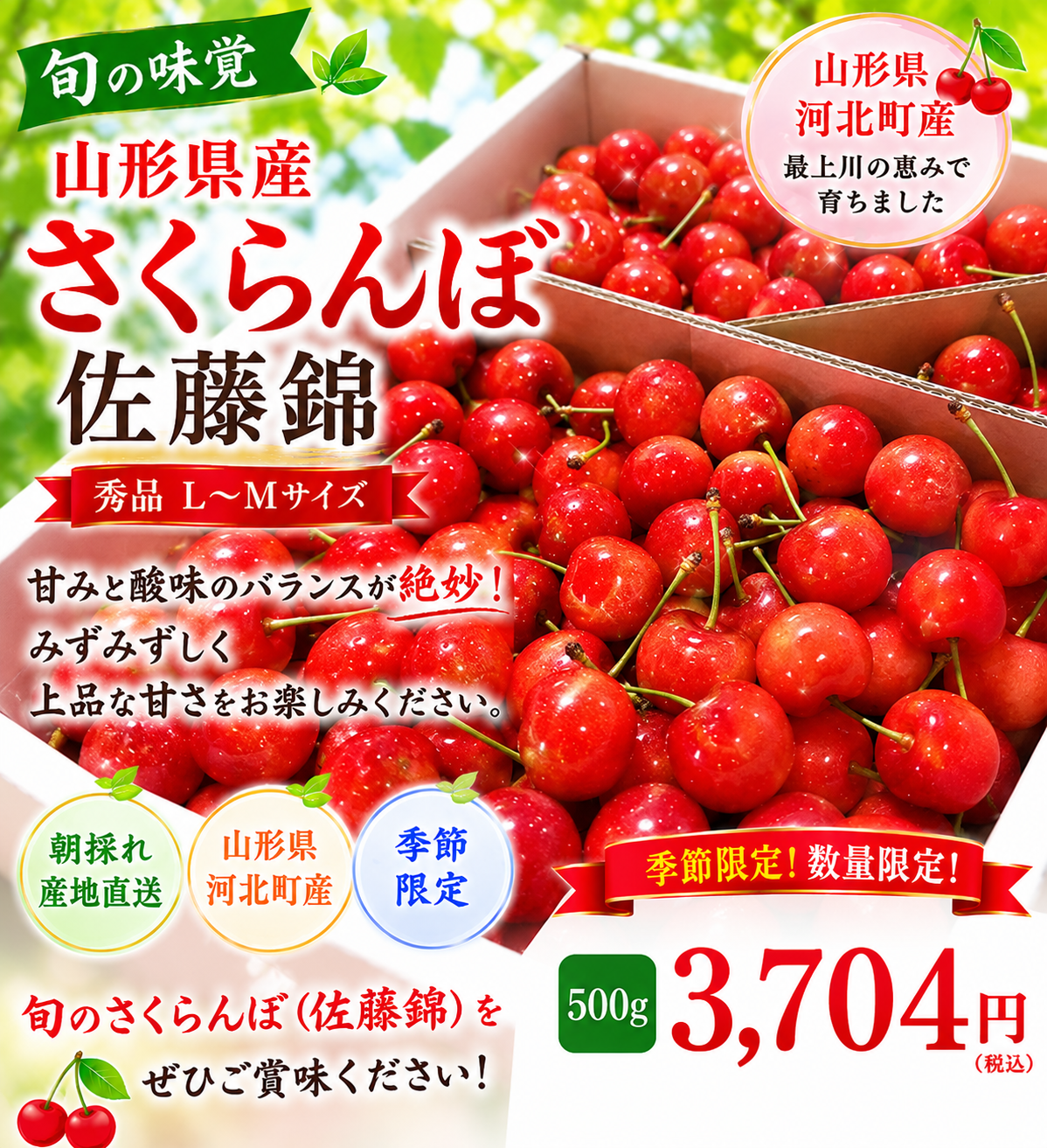 【旬の味覚】山形産さくらんぼ（佐藤錦）秀品Ｌ～Ｍサイズ★500gバラ箱入り(送料込み)